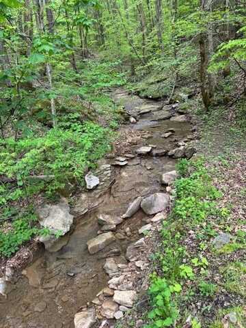 3911 Middlefork Road, Warbranch, KY 40874