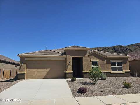Black Dalea, MARANA, AZ 85653