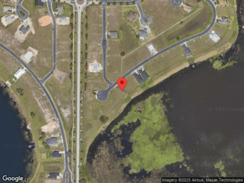 Caladium, LAKE ALFRED, FL 33850
