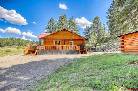 Hurt, PAGOSA SPRINGS, CO 81147