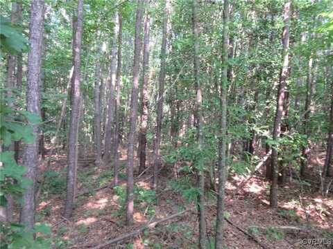 36C Duncan Rd, North Dinwiddie, VA 23803