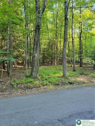 157 Pine tree Drive, Paradise Twp, PA 18326