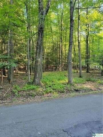 157 Pine tree Drive, Paradise, PA 18326