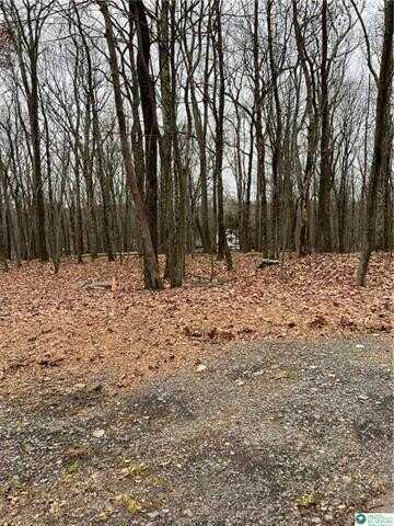 302 Traverse Road, Lehman, PA 18328