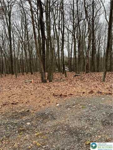302 Traverse Road, Lehman Twp, PA 18328