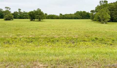 180 Meriwether Trace, Pike Road, AL 36064