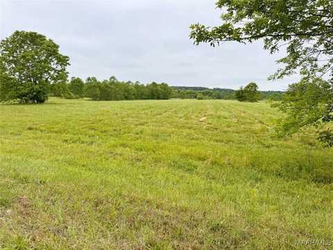 181 Meriwether Trace, Pike Road, AL 36064