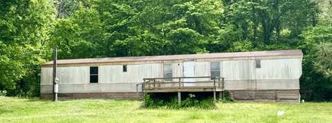 4546 CHICKEN GEORGE, Ripley, TN 38063