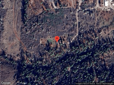 Albers Forest, SHINGLETOWN, CA 96088