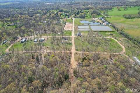 0 Robert Drive, Fairdealing, MO 63939