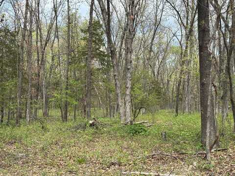 2 JoAnna Drive, Perry, MO 63462