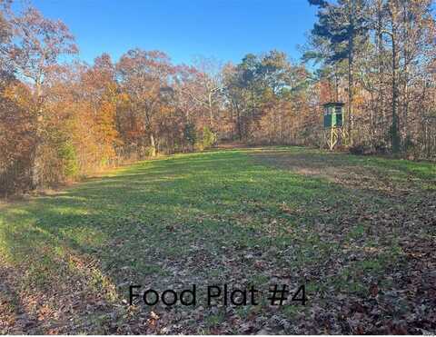 0 Tract 1 (160+/- acres) Lodge Road, Potosi, MO 65441
