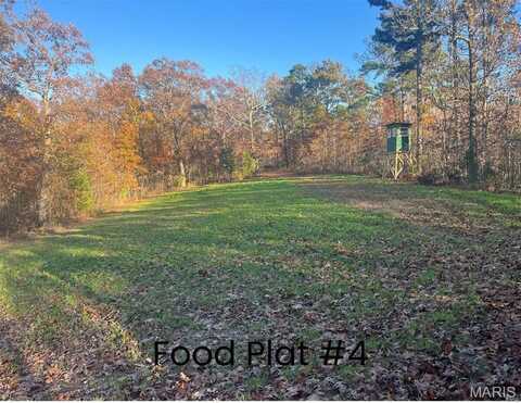 0 Tract 1 (160+/- acres) Lodge Road, Potosi, MO 65441