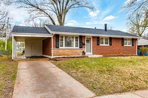 920 Thatcher Avenue, Saint Louis, MO 63135