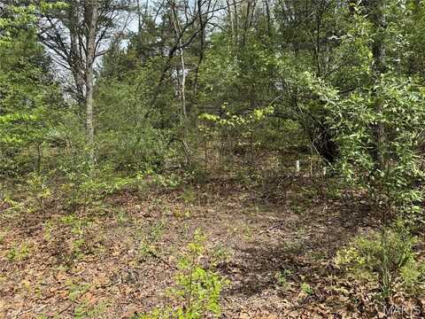 0 Maple Drive, Lonedell, MO 63060