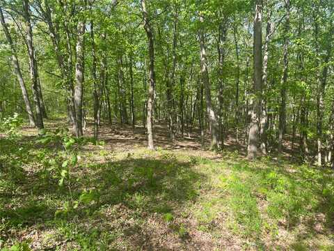 0 Log Cabin Trail, New Florence, MO 63363