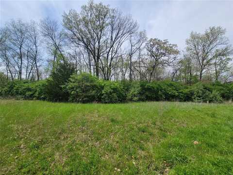 160 Widgeon Lane, Foley, MO 63347