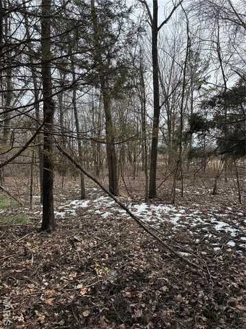 0 Mallard Road Tract A, Licking, MO 65542