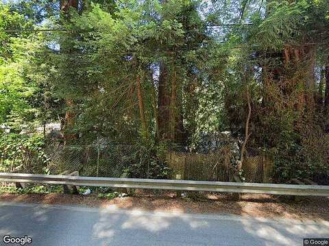 Saint Bernard, SANTA CRUZ, CA 95060