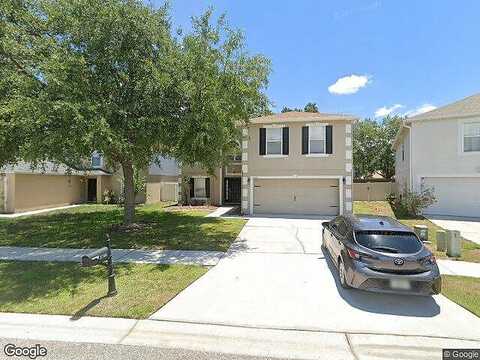 Mingo, LAND O LAKES, FL 34638