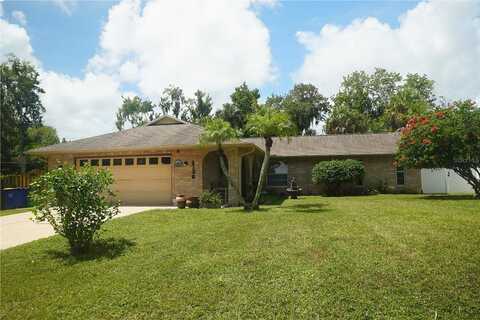 Lime Tree, EDGEWATER, FL 32141