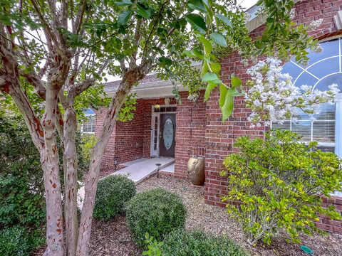 Cleo, CRESTVIEW, FL 32536