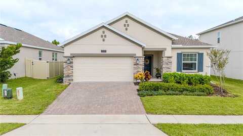 American Beech, OCOEE, FL 34761