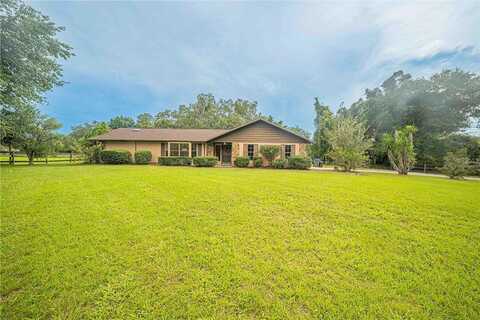 Meadow Wood, OCALA, FL 34482