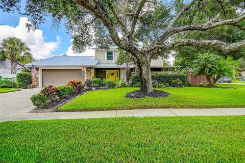 Rain Forest, TEMPLE TERRACE, FL 33617