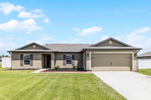 Callicarpa, LEESBURG, FL 34788