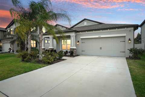 Alachua Creek, RIVERVIEW, FL 33579