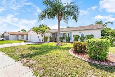 Fiddlewood, RIVERVIEW, FL 33579