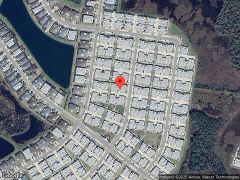 Parrot, DAYTONA BEACH, FL 32124