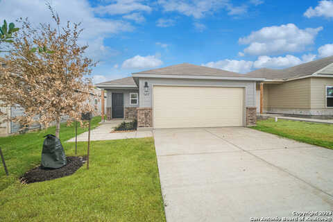 Olive Grove, San Antonio, TX 78264
