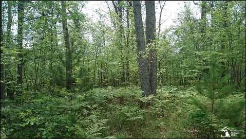 185 Fieldstone, Lewiston, MI 49756
