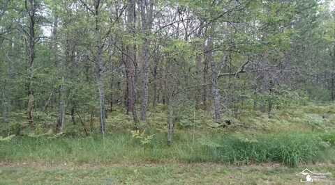 0 Garland-Williams Blvd Lot 46, Lewiston, MI 49756