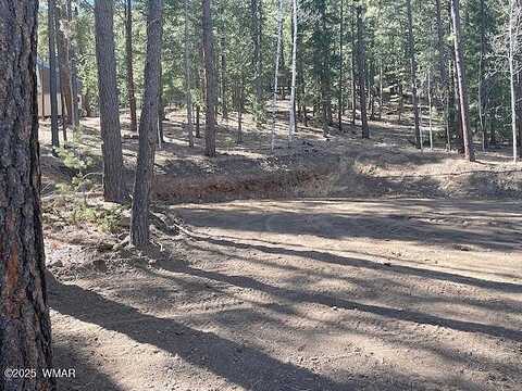 County Road 1007, GREER, AZ 85927