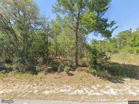 Sw White Sands Rd, Dunnellon, FL 34431