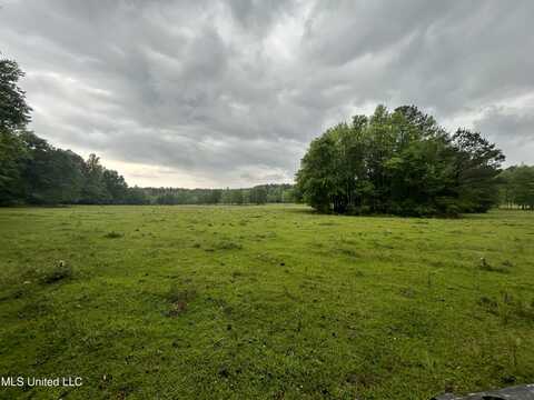 Hwy 45 N, Lauderdale, MS 39335