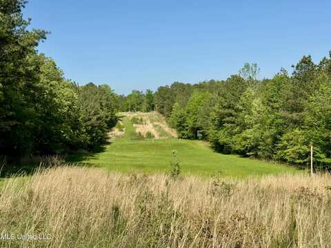 1131 Cauthen Road, Camden, MS 39045
