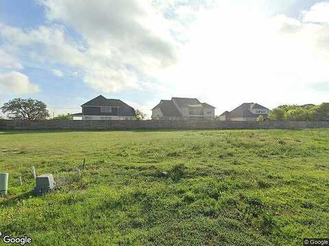 Yaupon Holly, GEORGETOWN, TX 78628