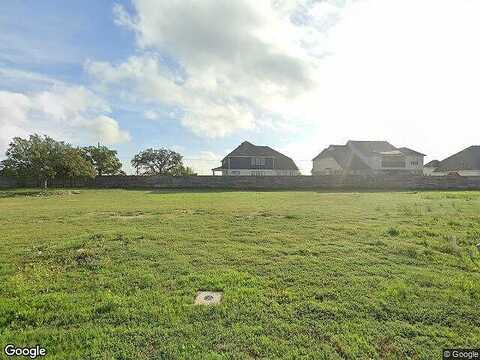 Yaupon Holly, GEORGETOWN, TX 78628