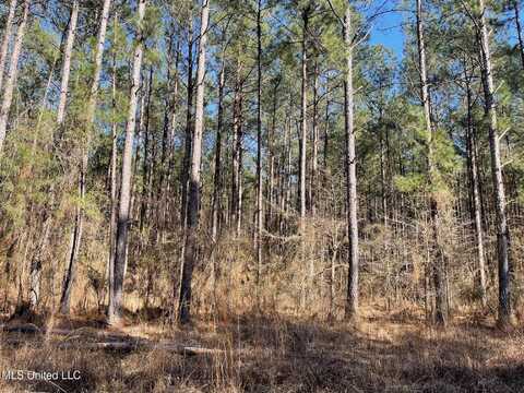 00 Sun Road, Raleigh, MS 39153