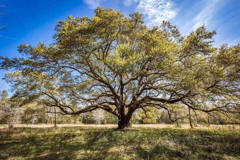 8613 Pointe Aux Chenes Road, Ocean Springs, MS 39564