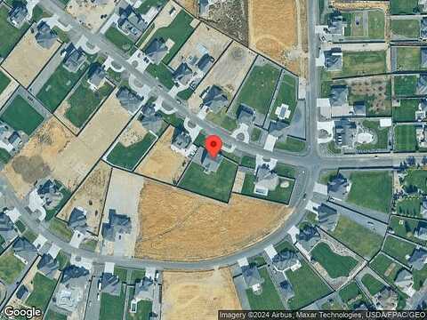 Calico, KENNEWICK, WA 99338
