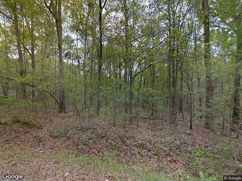 Brady Rd, Buena Vista, GA 31803