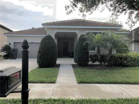 7515 LAKE ALBERT DRIVE, WINDERMERE, FL 34786