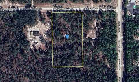 835 DEERWOOD AVENUE, PERRY, FL 32348