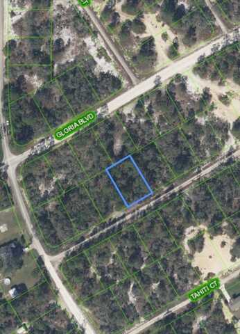 406 ALLEGHENY AVENUE, LAKE PLACID, FL 33852