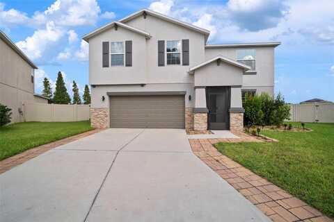10612 STRAWBERRY TETRA DRIVE, RIVERVIEW, FL 33578